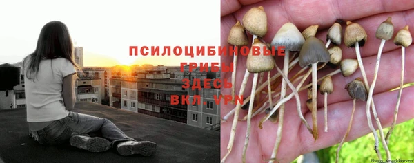 первитин Абинск