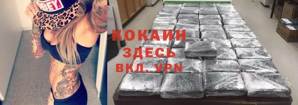 стаф Абаза